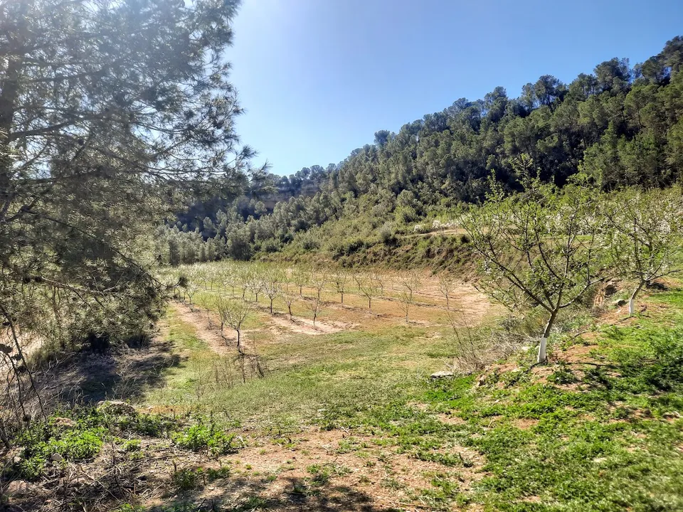 Finca i Ginestar, Tarragona - foto 3